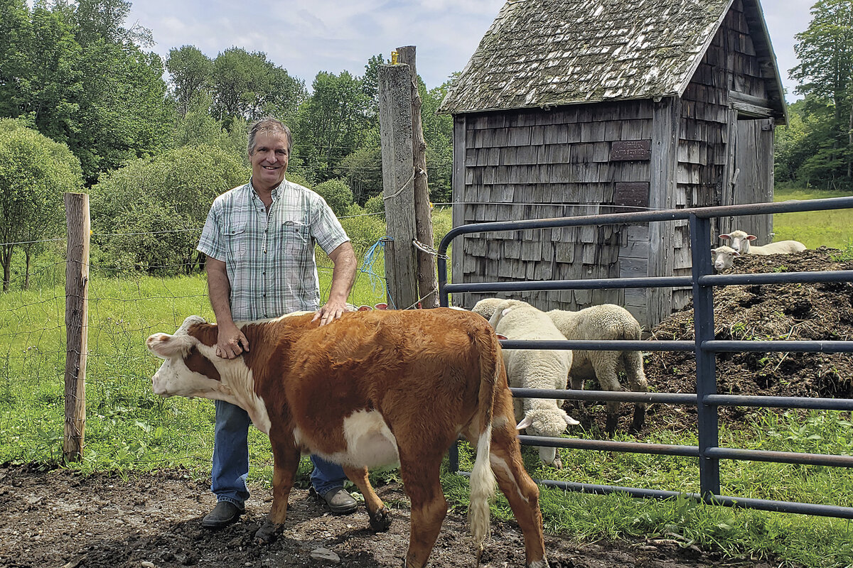 With sheep in the background, the writer poses with his Hereford heifer calf Molly in Brookfield, Vermont, in spring 2023.he writer poses with his Hereford heifer calf Molly in Brookfield, Vermont, in spring 2023.